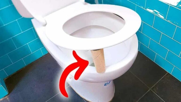 colocando o rolo de papel higiênico