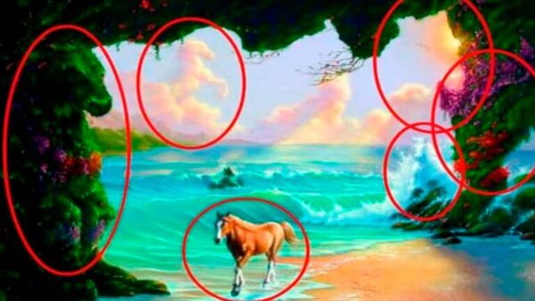 DESAFIO VISUAL: consegue encontrar 6 cavalos escondidos?