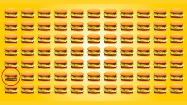 teste visual qual hamburguer