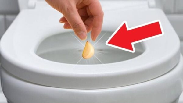 Coloque um dente de alho no vaso sanitário 