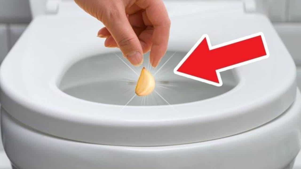 Coloque um dente de alho no vaso sanitário