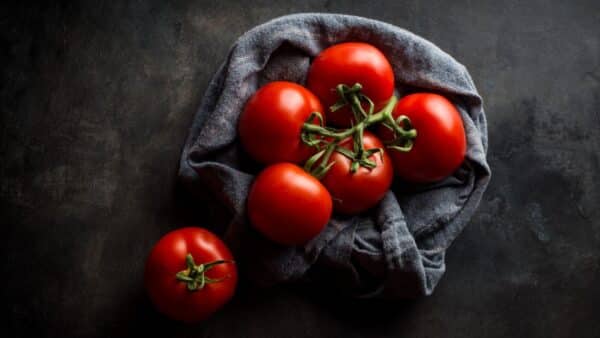 como guardar tomates
