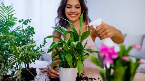 Por que colocar água oxigenada em suas plantas? Você deveria saber isso!