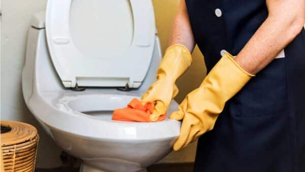 Como limpar o assento do vaso sanitário