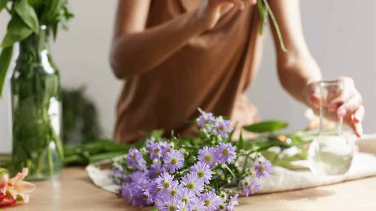 plantas para casa cheirosa