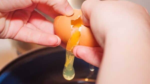 eliminar o cheiro de ovo impregnado