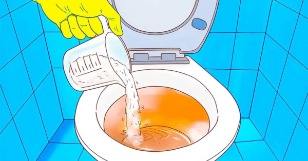  limpar o banheiro com sabão em pó