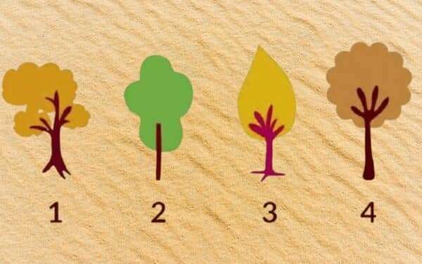 Teste Rápido: a árvore que você escolher 