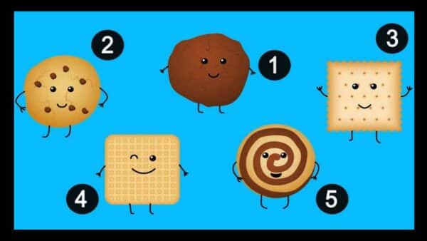 TESTE: qual biscoito você comeria? 