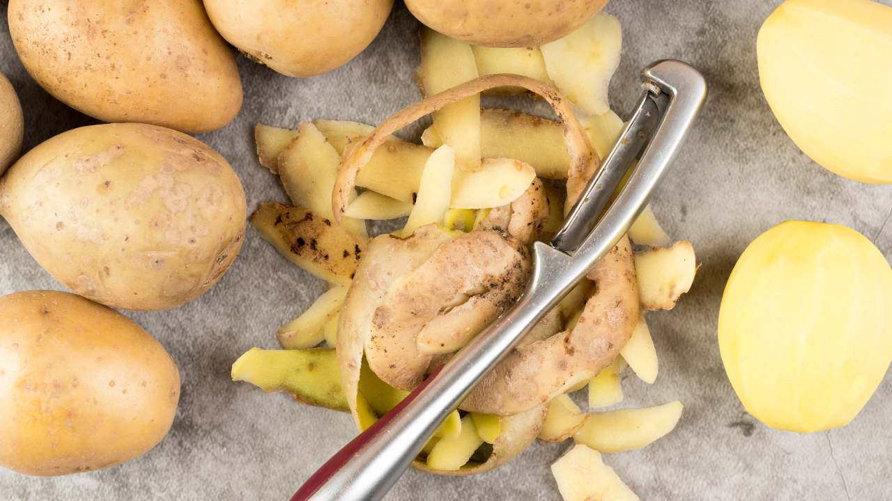 Não jogue fora as cascas de batata: Use como um fertilizante POTENTE!