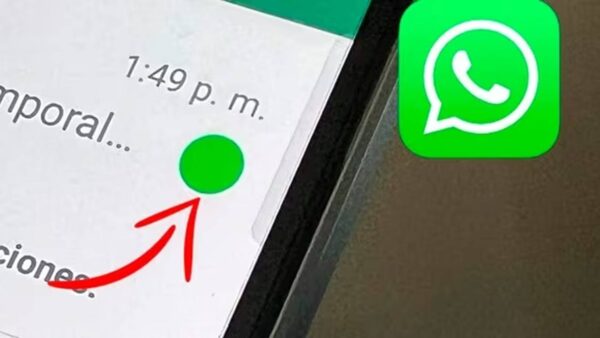 WhatsApp: ponto verde 