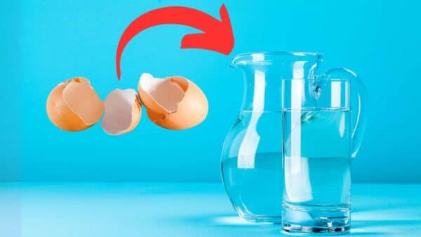 Coloque a casca do ovo em uma jarra