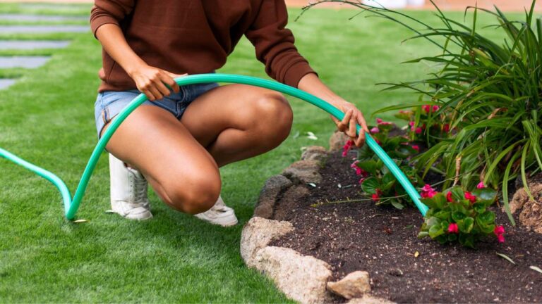 colocar cinzas no jardim