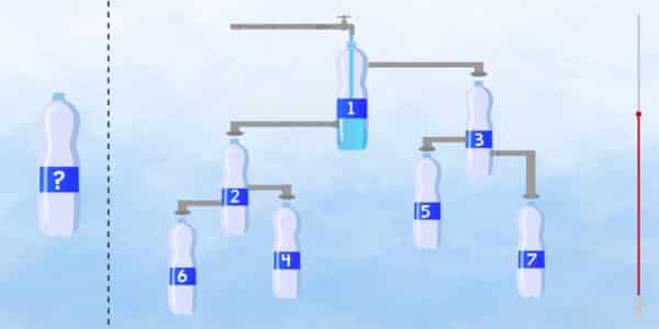 Desafio Lógico: qual garrafa