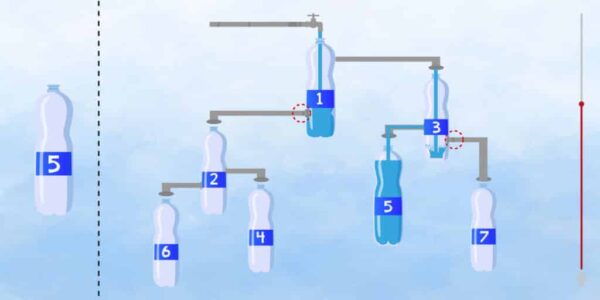 Desafio Lógico: qual garrafa