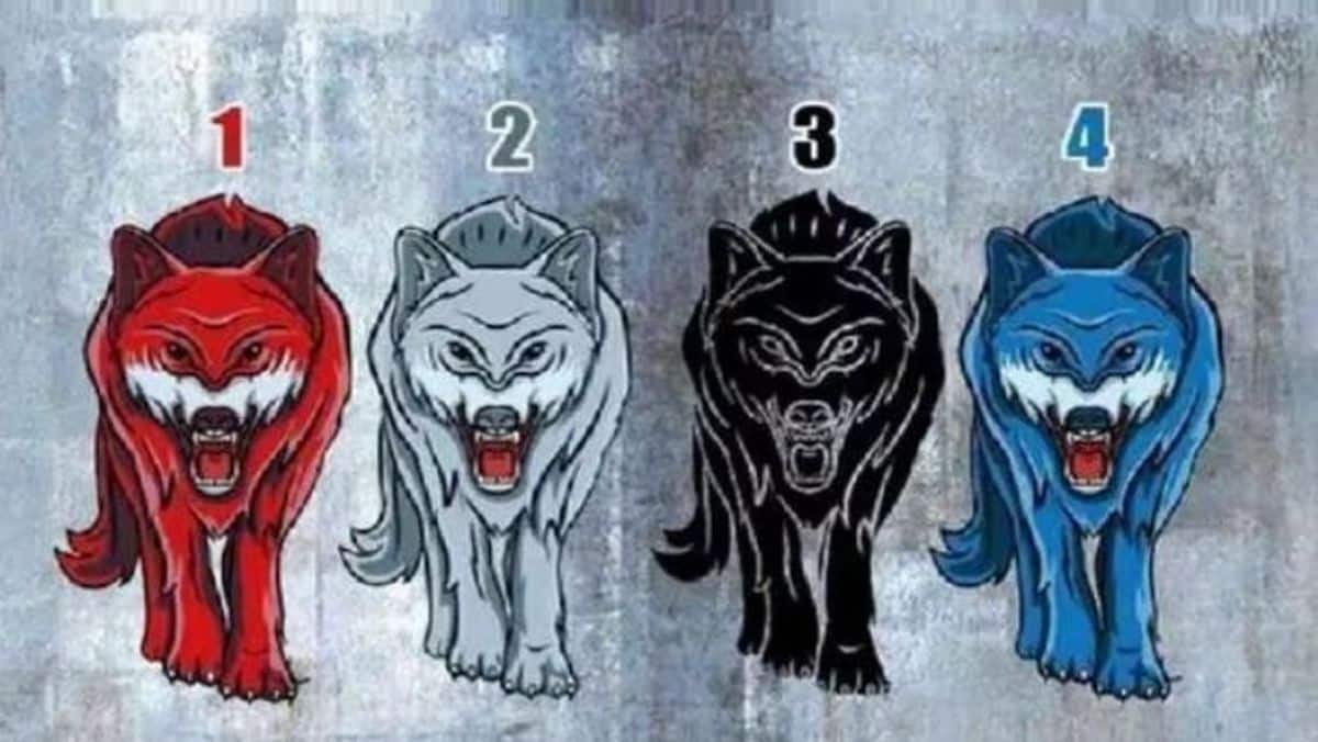 Teste de personalidade: o lobo