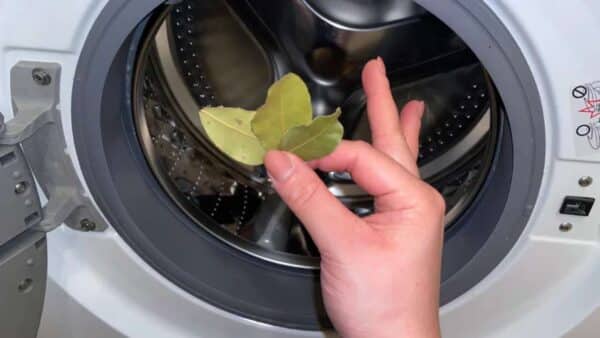 louro na máquina para lavar roupas