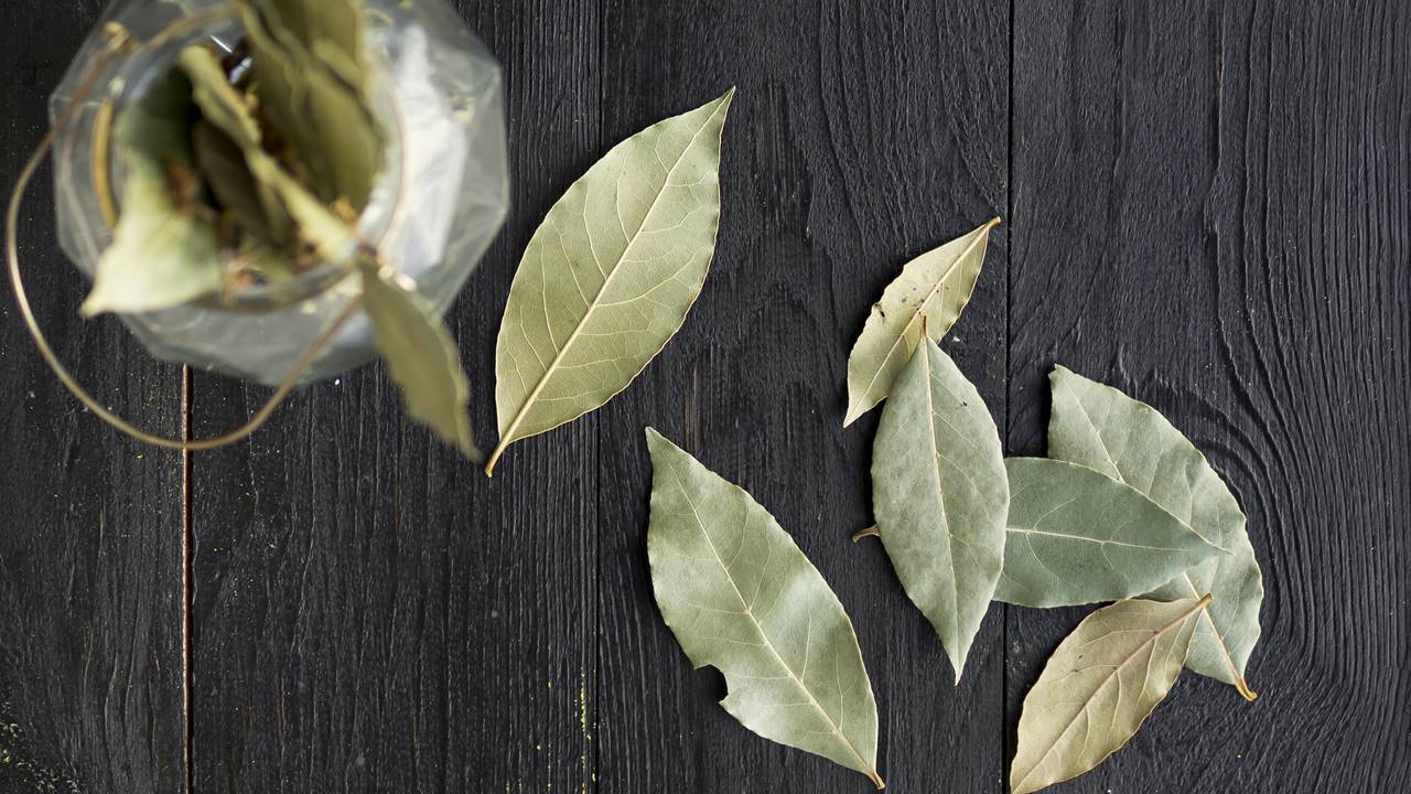 Multiplique seu DINHEIRO com este ritual simples com folhas de louro!