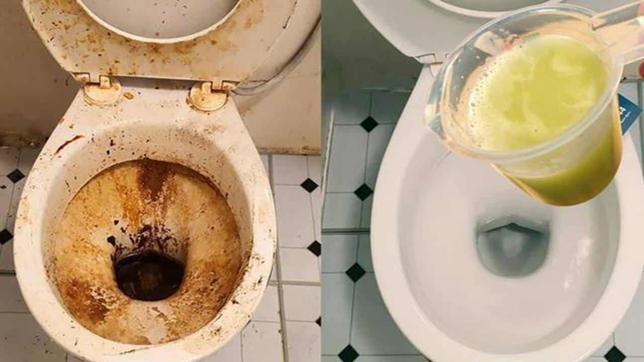 Isso remove o calcário do vaso sanitário