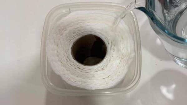 vinagre e papel higiênico para experimentar