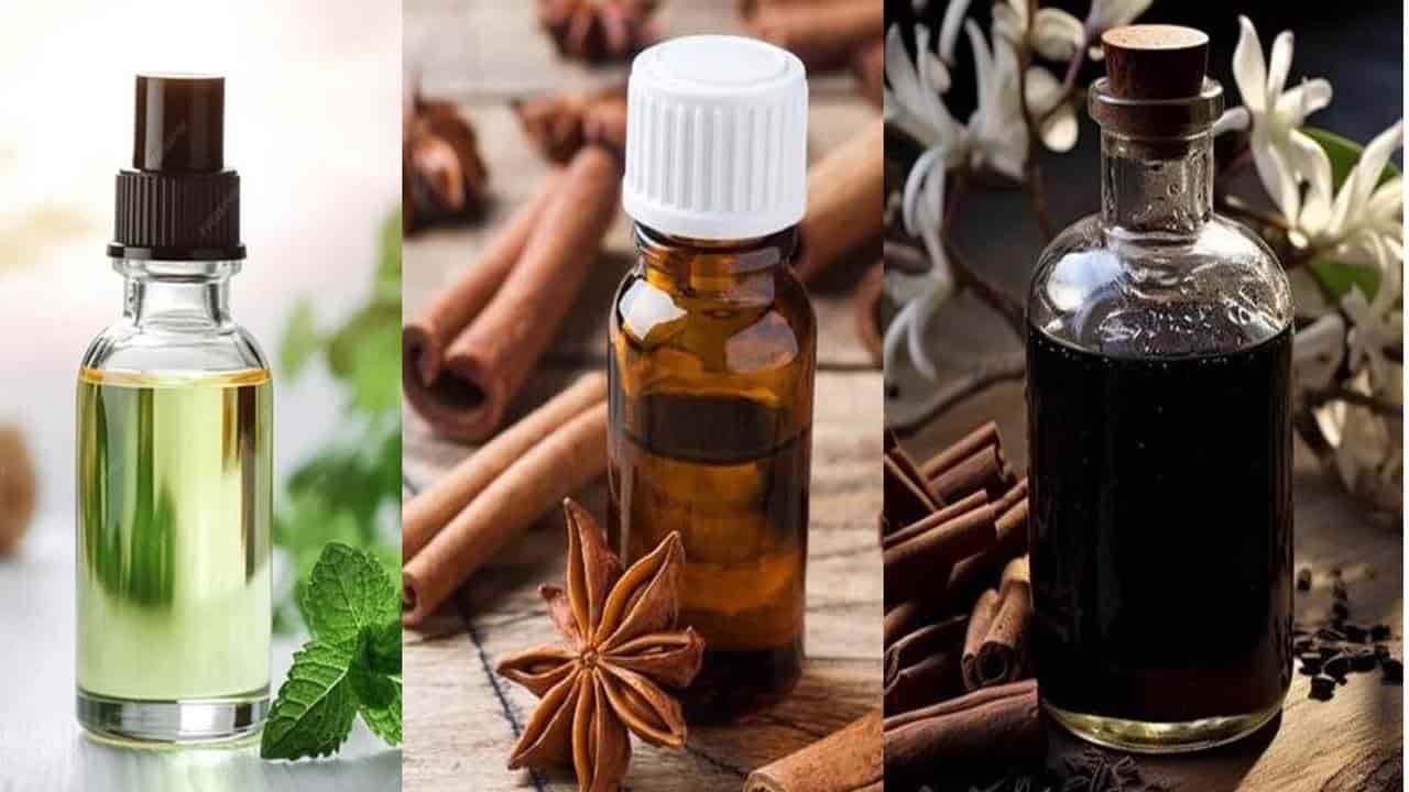 3 aromatizantes naturais para neutralizar os maus odores