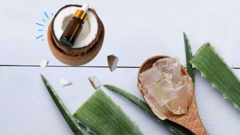 óleo de coco e aloe vera para reparar os cabelos