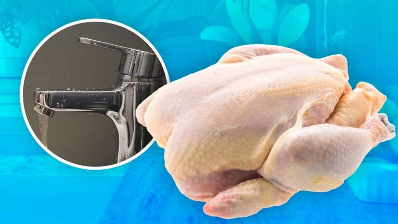 Porque é perigoso lavar o frango cru?