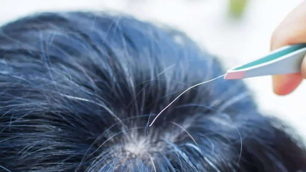 O que acontece se eu arrancar um fio de cabelo grisalho?