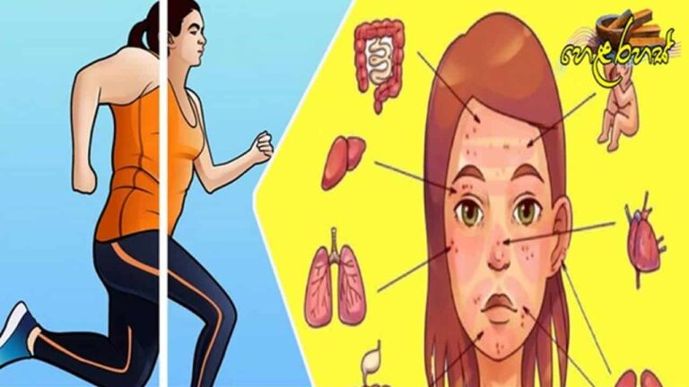 10 coisas comer carne