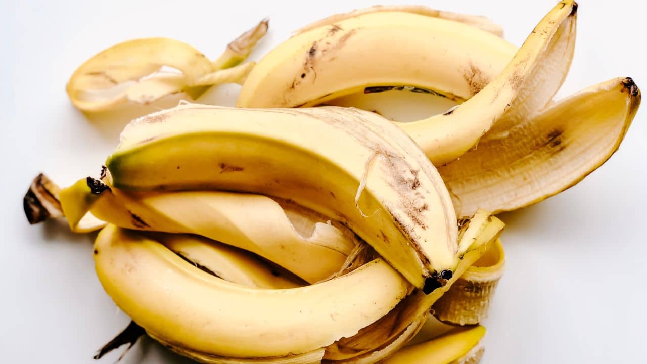 cascas de banana como fertilizante