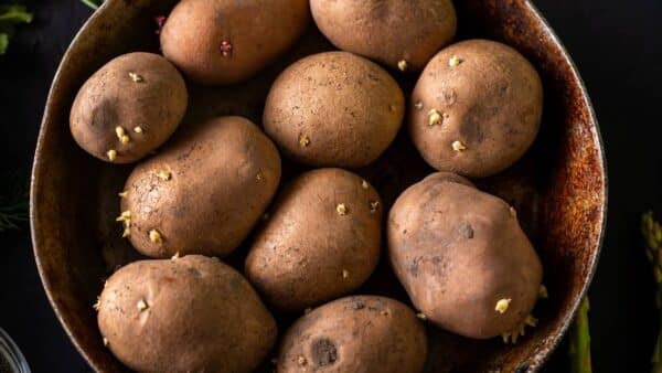 evitar que batatas brotem e mantenha frescas 