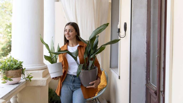 decorar a porta da sua casa e atrair abundância!