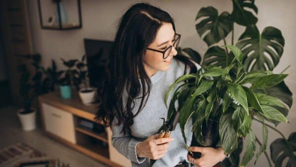 para que as plantas não morram sem regar!