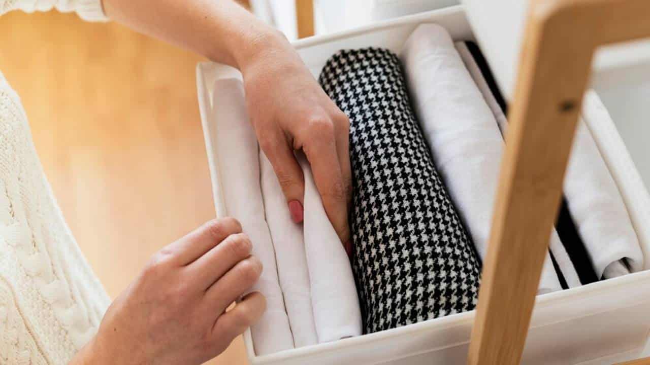 Diga adeus às traças: receitas caseiras infalíveis para proteger suas roupas