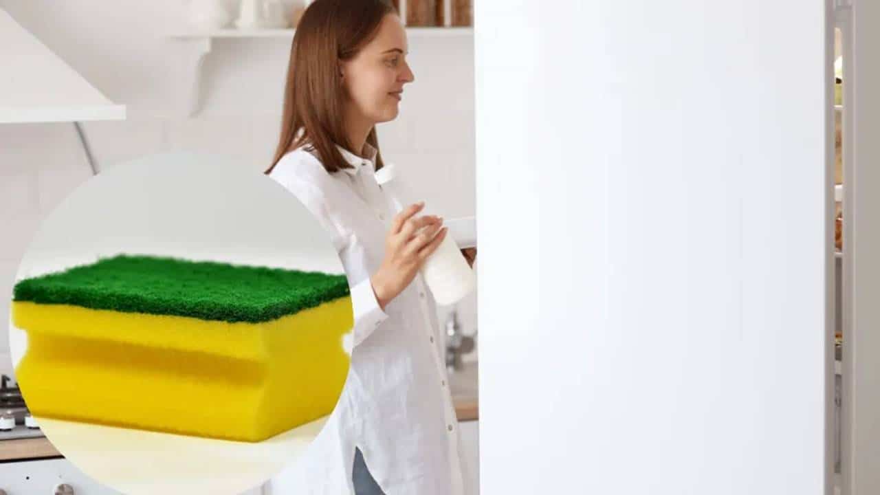 O truque de 1 minuto com uma esponja para absorver os maus odores da geladeira