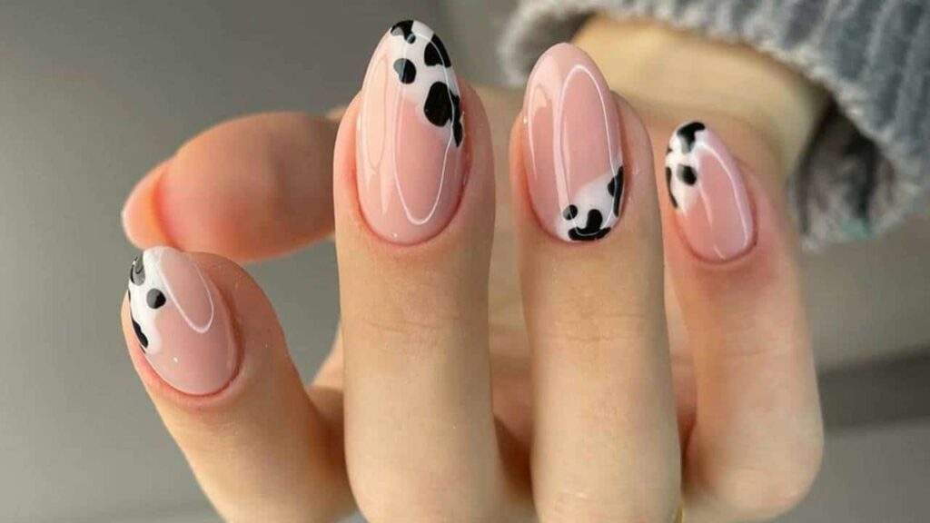 Unhas com ponta de amêndoa estampa animal