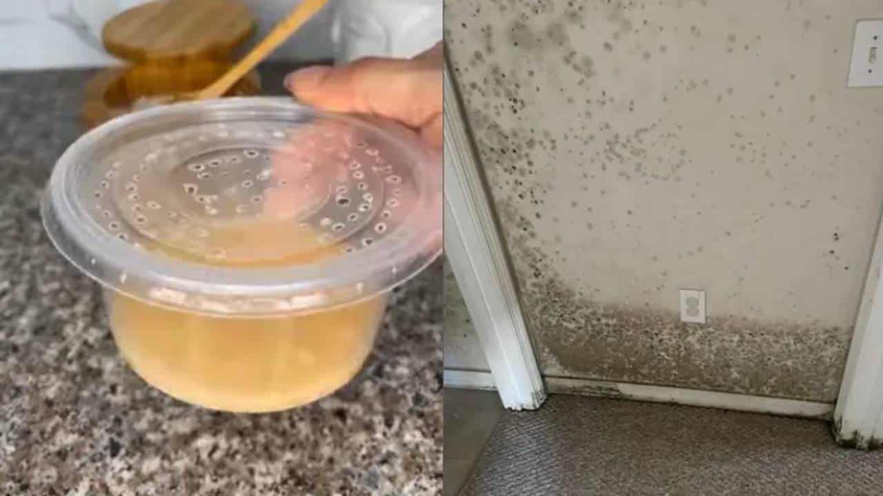 Como fazer um antimofo caseiro para eliminar umidade e fungos das paredes