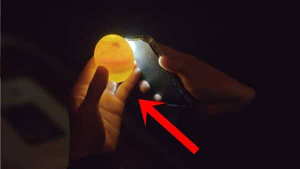 colocar o ovo na lanterna do celular