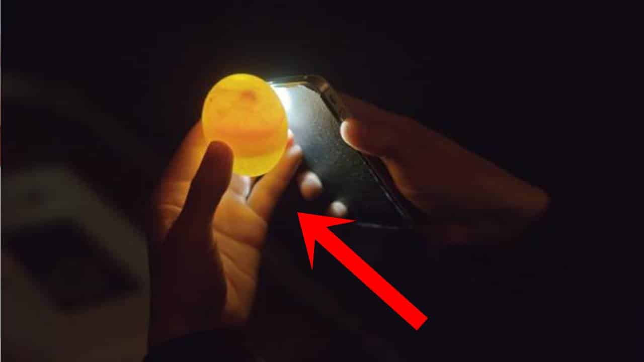 É por isso que você deve colocar o ovo na lanterna do celular antes de fritar ou cozinhar!