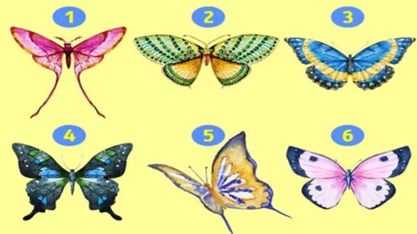 Teste Visual: escolha uma borboleta e aprenda mais sobre sua personalidade