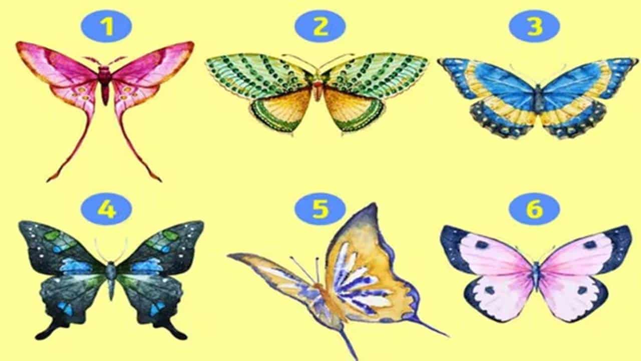 Teste Visual: escolha uma borboleta e aprenda mais sobre sua personalidade