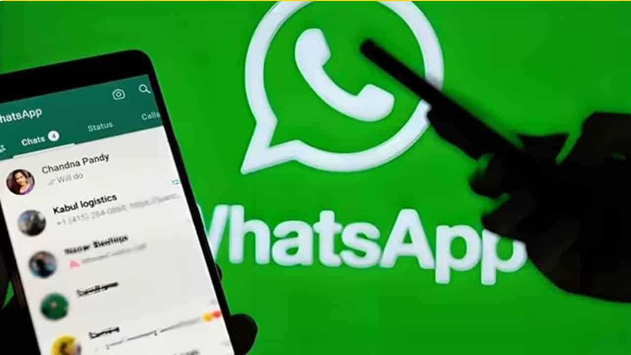 WhatsApp: nova ferramenta