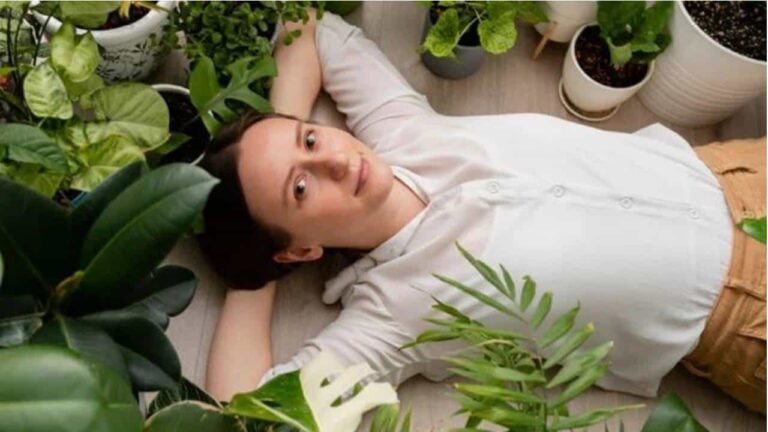 plantas que limpam o ar