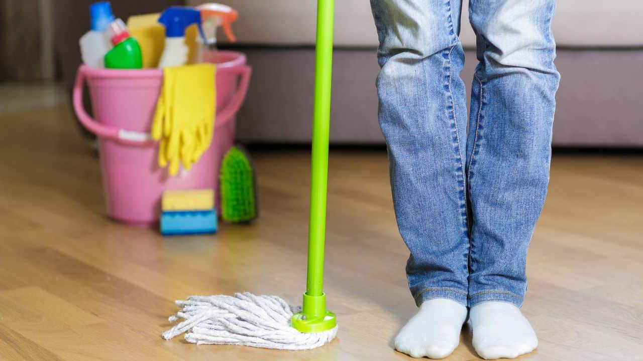 Truque de limpeza: Mistura natural para eliminar aranhas e baratas!