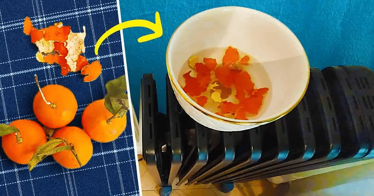 3 maneiras de usar cascas de frutas cítricas para perfumar sua casa