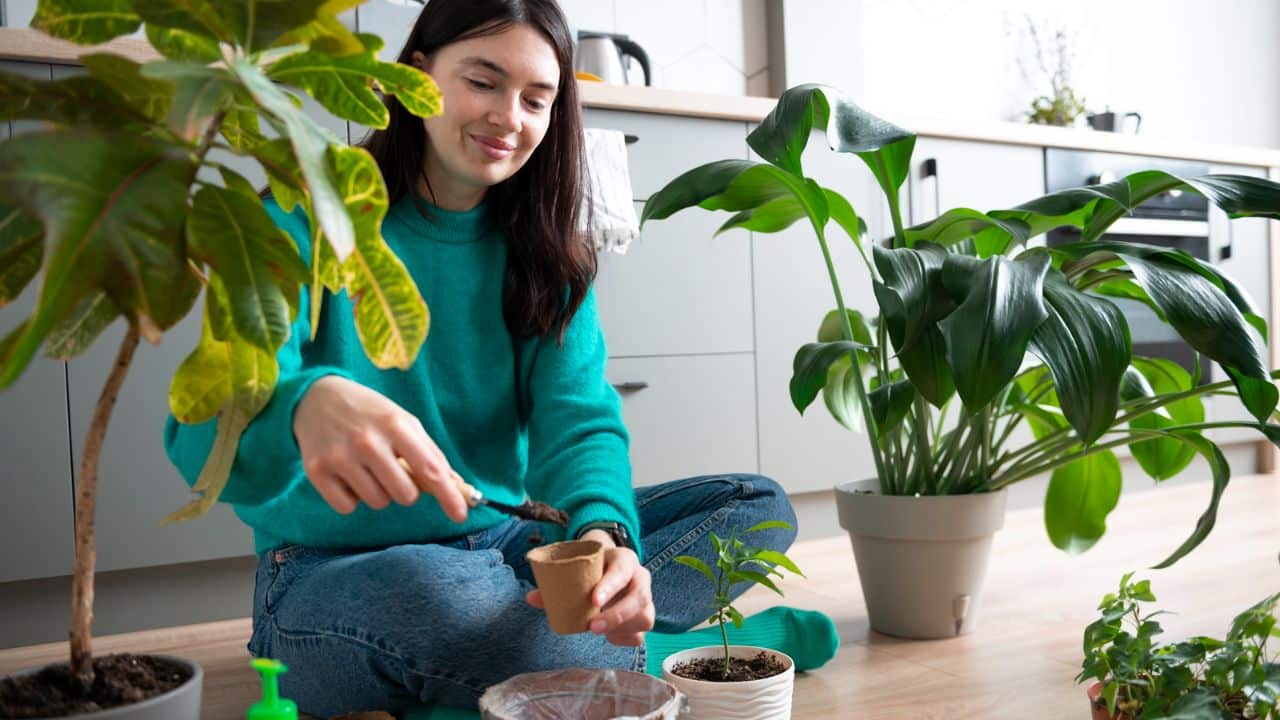 Como evitar fungos nas plantas com 1 ingrediente da sua cozinha?