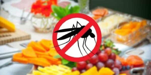 afastar os mosquitos: coloque-a mesa