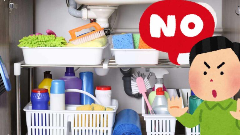 4 coisas que você nunca deve guardar embaixo da pia da cozinha