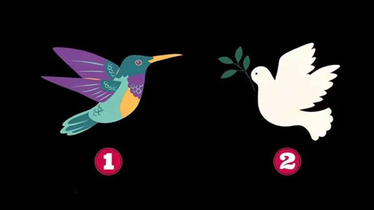 Teste de Personalidade: escolha um pássaro e veja o que significa