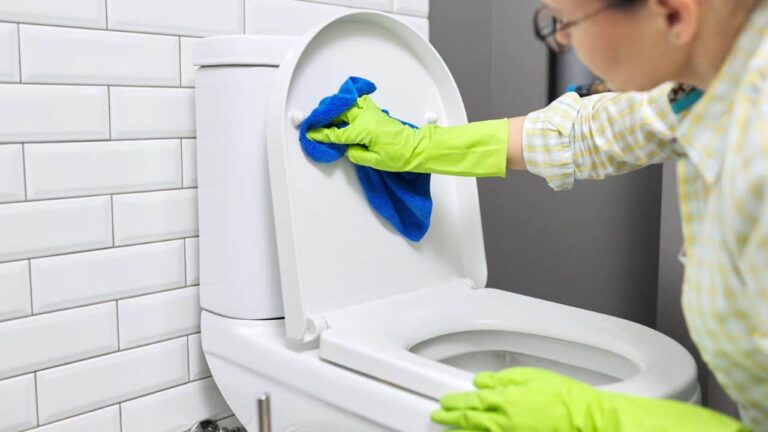 remover o tártaro e a ferrugem do banheiro